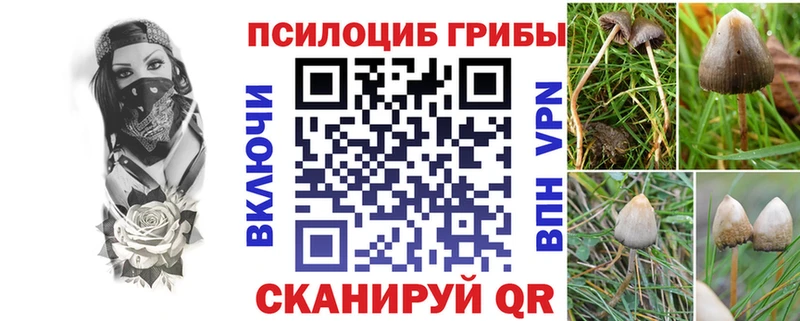 Псилоцибиновые грибы мухоморы  даркнет клад  Ворсма 